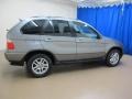 Sterling Grey Metallic - X5 3.0i Photo No. 10