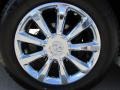 Tuscan Pearl White - QX 56 Photo No. 56