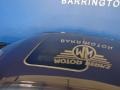 Dark Blue Metallic - Panamera 4S Photo No. 17