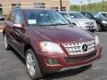 2009 Barolo Red Metallic Mercedes-Benz ML 350 4Matic  photo #3