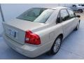 Moondust Metallic - S80 2.9 Photo No. 7