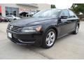 Black - Passat 2.5L SE Photo No. 1
