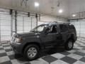 Silver Lightning Metallic - Xterra S Photo No. 4