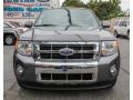 Sterling Gray Metallic - Escape Limited V6 Photo No. 2
