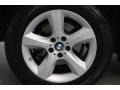 Alpine White - X5 3.0si Photo No. 8