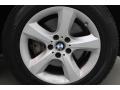 Alpine White - X5 3.0si Photo No. 9
