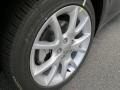 Maximum Steel Metallic - Dart SXT Photo No. 5