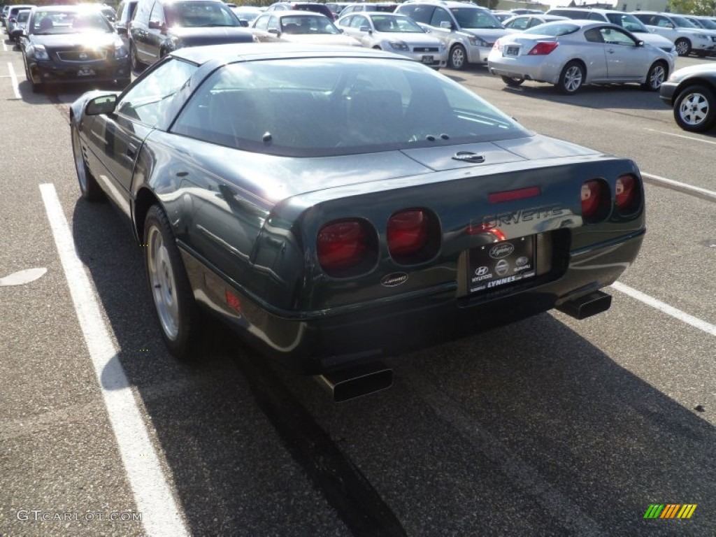 1992 Corvette Coupe - Polo Green Metallic / Tan photo #5