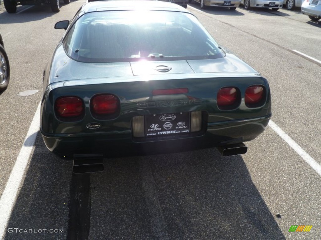 1992 Corvette Coupe - Polo Green Metallic / Tan photo #6