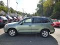 Jasmin Green Metallic 2014 Subaru Forester 2.5i Limited