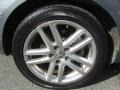 United Gray - Passat Lux Sedan Photo No. 27