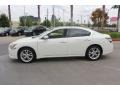 Winter Frost White - Maxima 3.5 SV Premium Photo No. 5