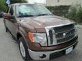 Golden Bronze Metallic - F150 XLT SuperCrew Photo No. 1