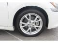Winter Frost White - Maxima 3.5 SV Premium Photo No. 31