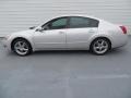 Liquid Silver Metallic - Maxima 3.5 SE Photo No. 7