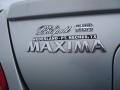 Liquid Silver Metallic - Maxima 3.5 SE Photo No. 20