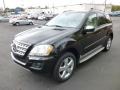 Black - ML 350 4Matic Photo No. 3