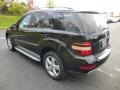 Black - ML 350 4Matic Photo No. 4