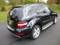 Black - ML 350 4Matic Photo No. 6