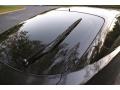 Nighthawk Black Pearl - RSX Sports Coupe Photo No. 29