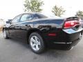 Pitch Black - Charger SE Photo No. 2
