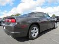 2014 Granite Crystal Metallic Dodge Charger SE  photo #3