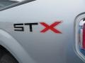 Ingot Silver Metallic - F150 STX Regular Cab Photo No. 16