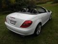 Arctic White - SLK 300 Roadster Photo No. 6