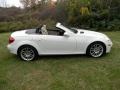 Arctic White - SLK 300 Roadster Photo No. 7