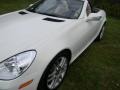 Arctic White - SLK 300 Roadster Photo No. 41