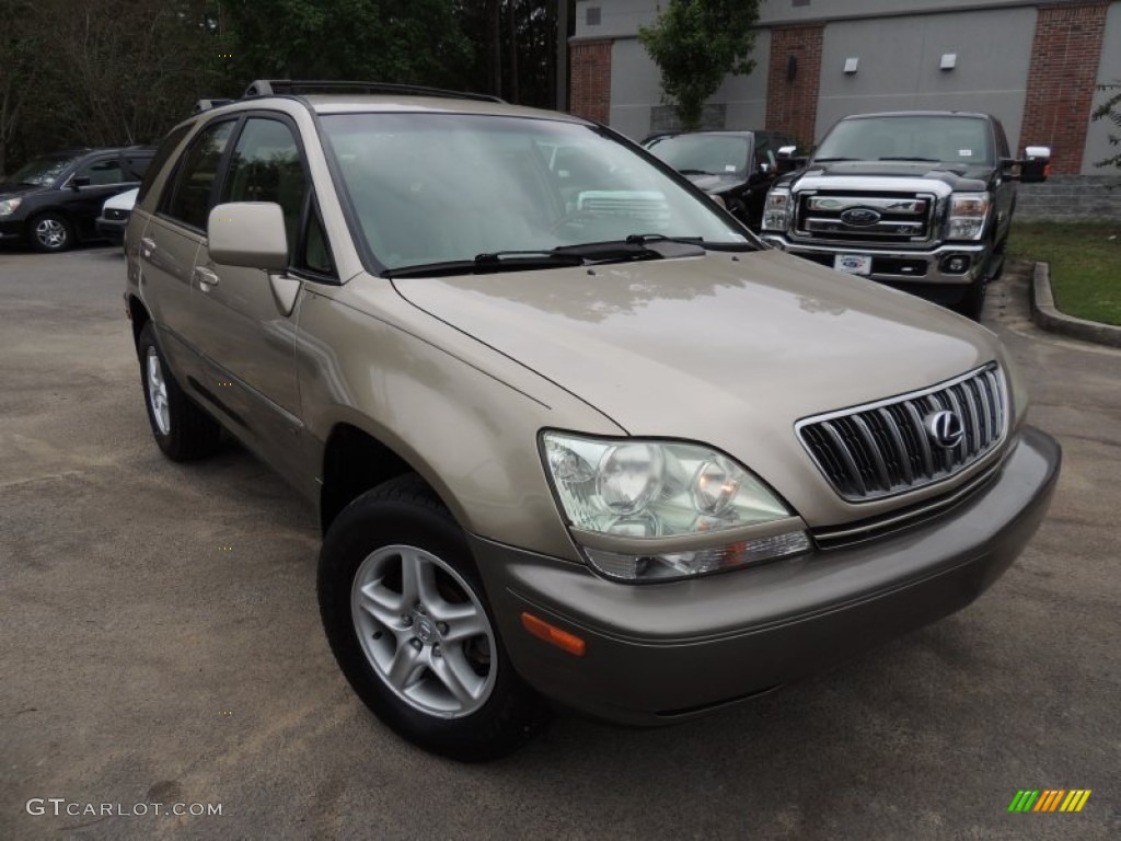 2001 RX 300 - Burnished Gold Metallic / Ivory photo #1