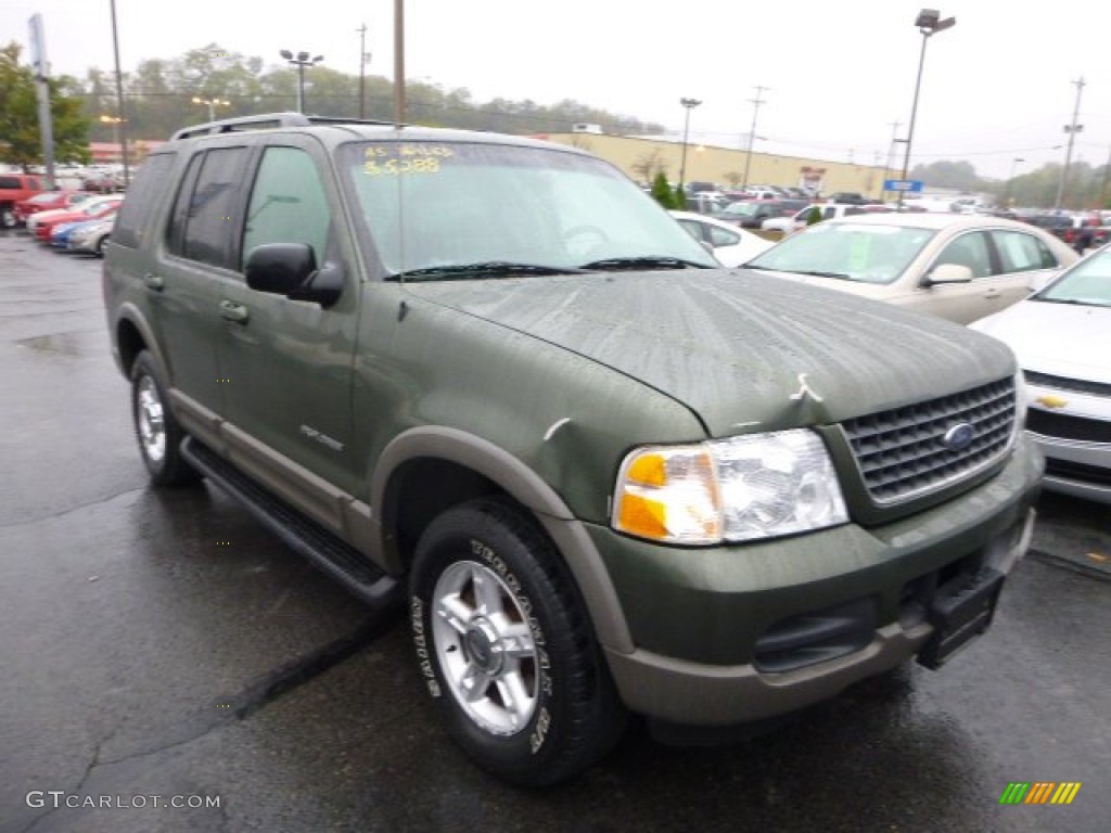 2002 Explorer XLT 4x4 - Aspen Green Metallic / Medium Parchment photo #5