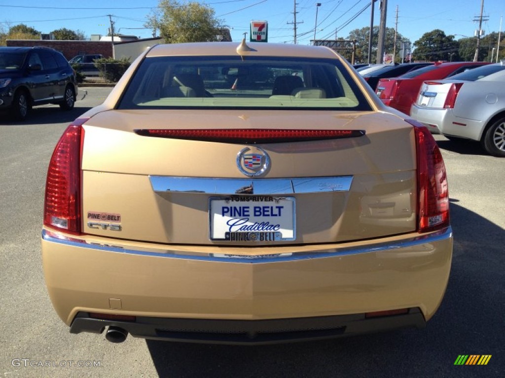 2013 CTS 3.0 Sedan - Summer Gold Metallic / Cashmere/Cocoa photo #5