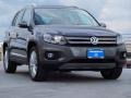 Pepper Gray Metallic - Tiguan SE Photo No. 1