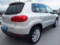 White Gold Metallic - Tiguan SE Photo No. 6