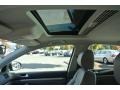 Shadow Blue Metallic - Jetta TDI Sedan Photo No. 12