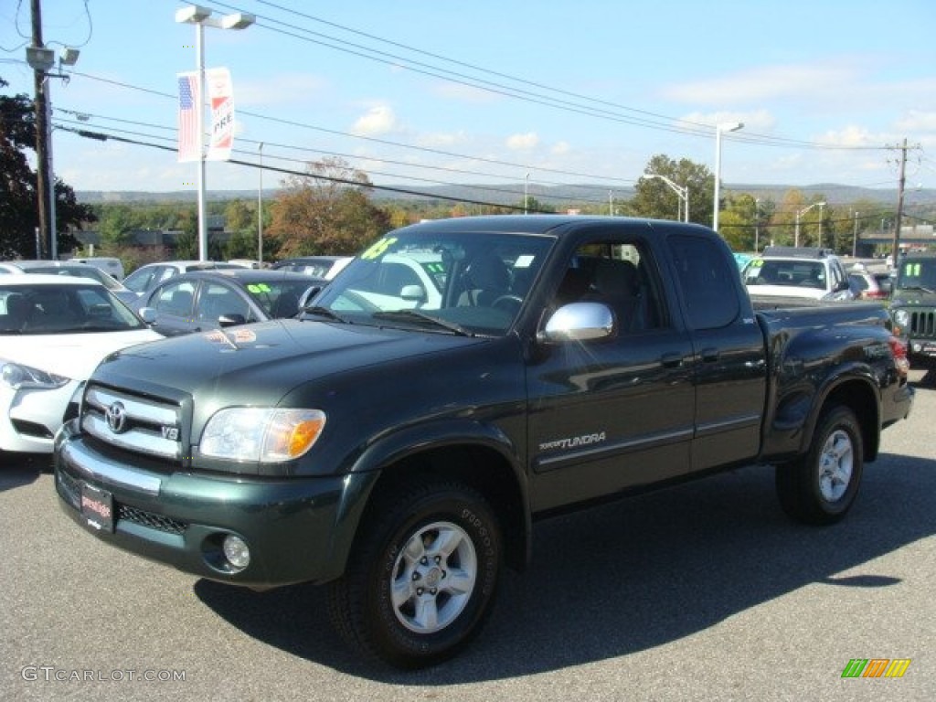 2005 Tundra SR5 Access Cab 4x4 - Timberland Green Mica / Light Charcoal photo #3