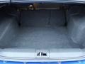 Vista Blue Metallic - Focus SES Coupe Photo No. 11