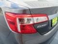 Magnetic Gray Metallic - Camry XLE Photo No. 13