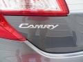 Magnetic Gray Metallic - Camry XLE Photo No. 14