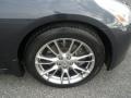 Platinum Graphite Gray - G 35 x S Sedan Photo No. 16