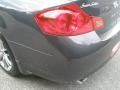 Platinum Graphite Gray - G 35 x S Sedan Photo No. 20