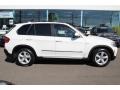Alpine White - X5 3.0si Photo No. 2