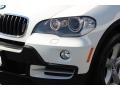 Alpine White - X5 3.0si Photo No. 31