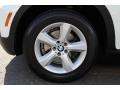 Alpine White - X5 3.0si Photo No. 32