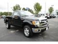 Tuxedo Black Metallic - F150 XLT Regular Cab 4x4 Photo No. 3