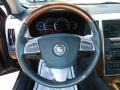  2009 STS 4 V8 AWD Steering Wheel