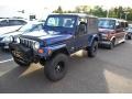 Patriot Blue Pearl - Wrangler Unlimited 4x4 Photo No. 4