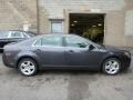 Taupe Gray Metallic - Malibu LS Sedan Photo No. 10