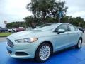 Ice Storm 2014 Ford Fusion Hybrid S